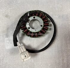 Yuki Dırty paws 250 2t  Statör Sargı