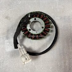 Yuki Dırty paws 250 2t Statör Sargı