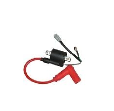 Yuki Dırtypaws 250 2T Ateşleme Bobini